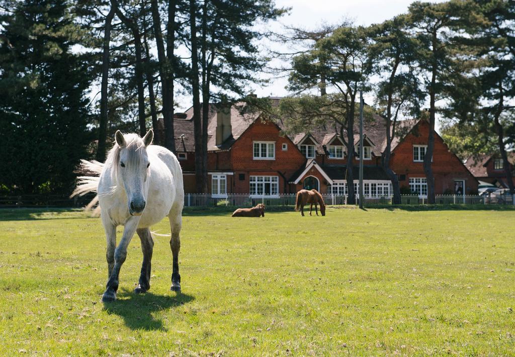 Beaulieu Hotel Lyndhurst Exterior photo